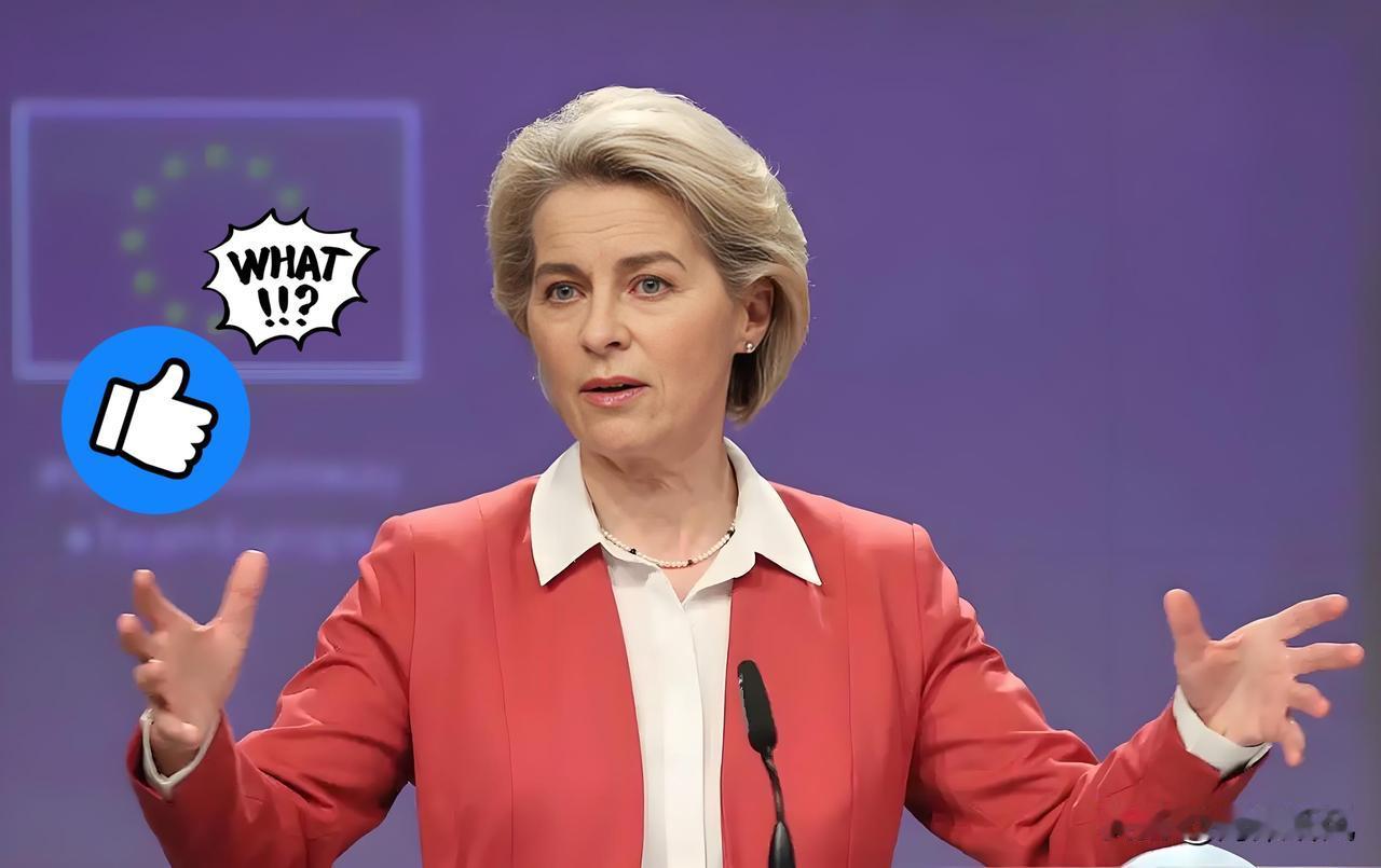 快报！快报！稀土反制见真章！放狠话的不是荷兰，ASML库存只够撑8周，这局谁