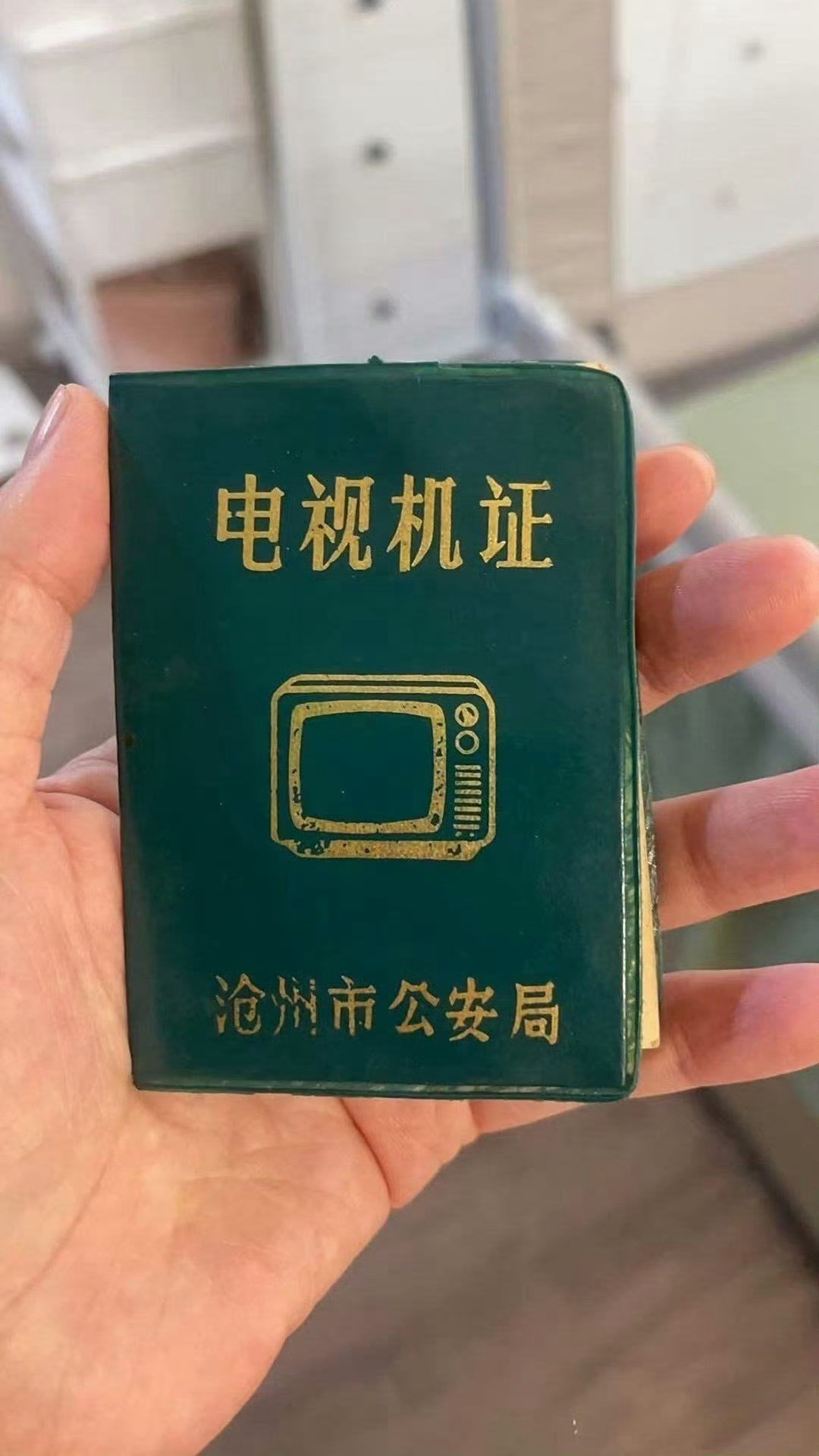 你见过电视里证吗？