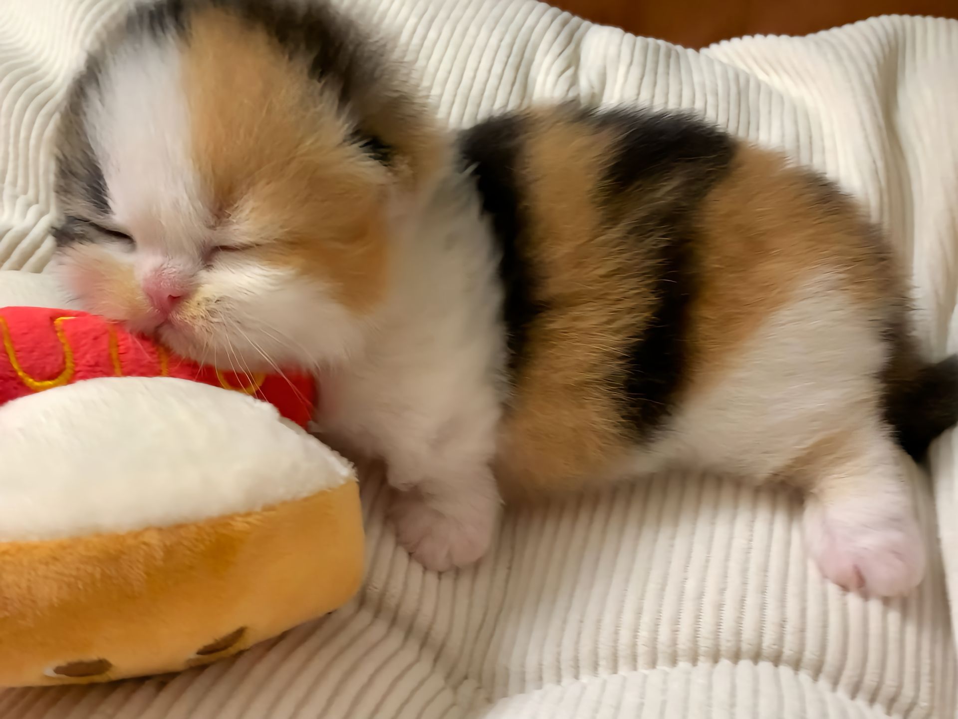 “宝宝，你是个黑芝麻花生露馅小汤圆”