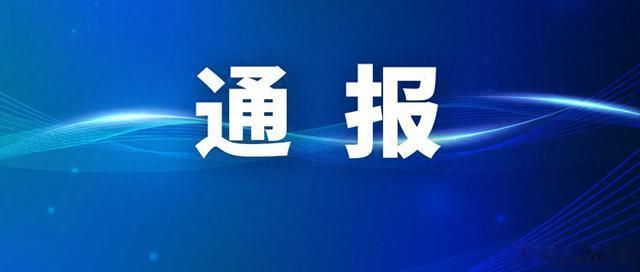 河南省新乡市“孙石窑村顶包案”联合调查整顿组发布情况通报