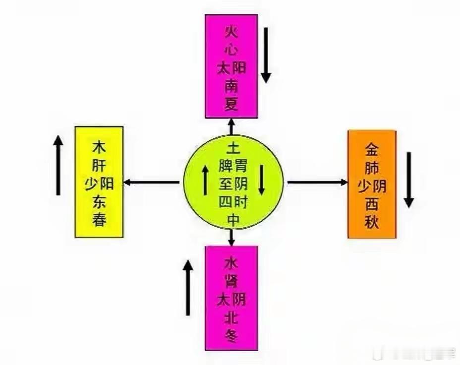 它属至阴，却能化生万物，为全身气机升降的枢纽，把它称为孤脏！在中医五行理论里，五
