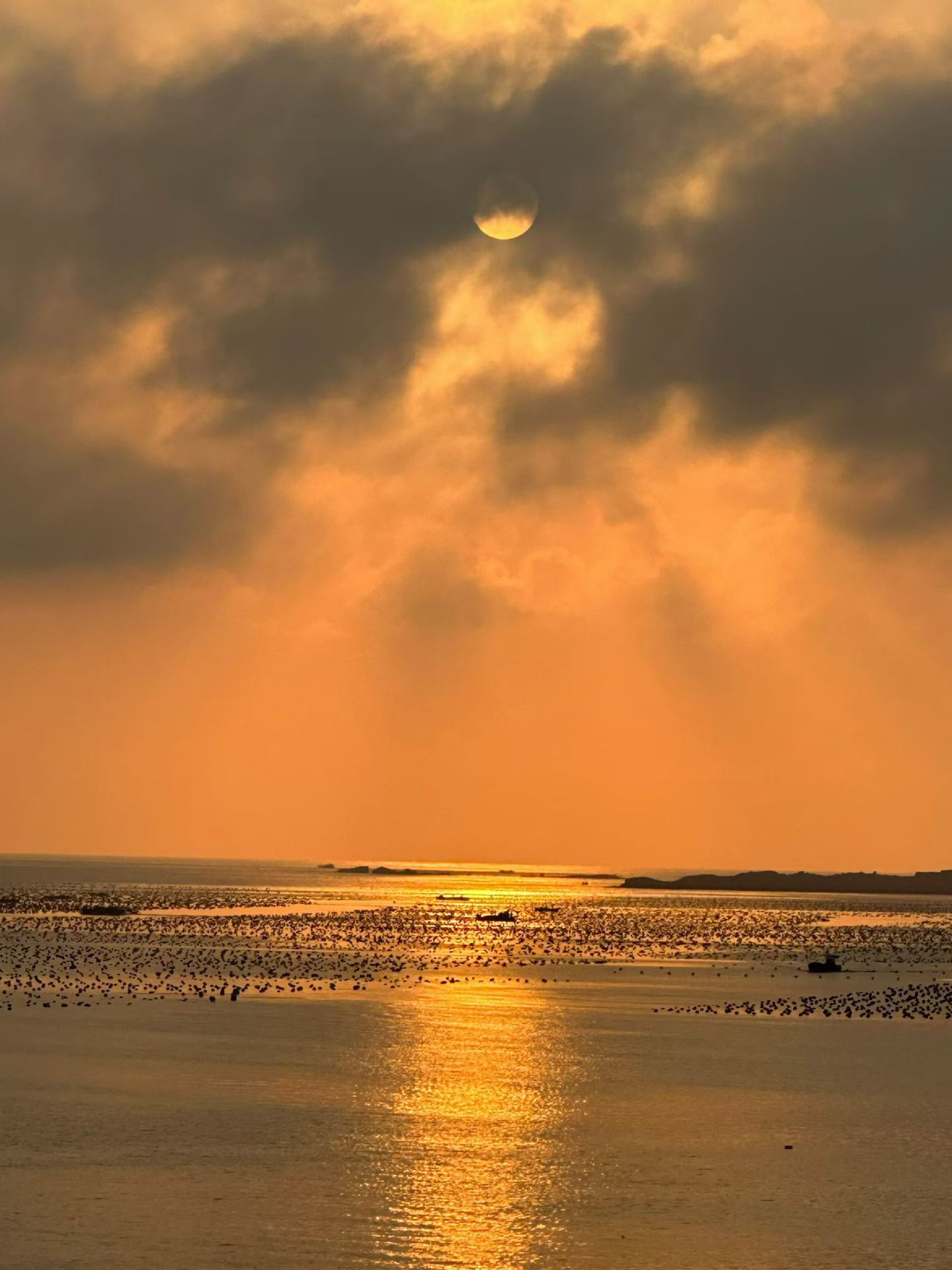 生活不论好坏，每天都是限量版，永远乐观自信，永远积极向上，别让世俗，淹没了生活的