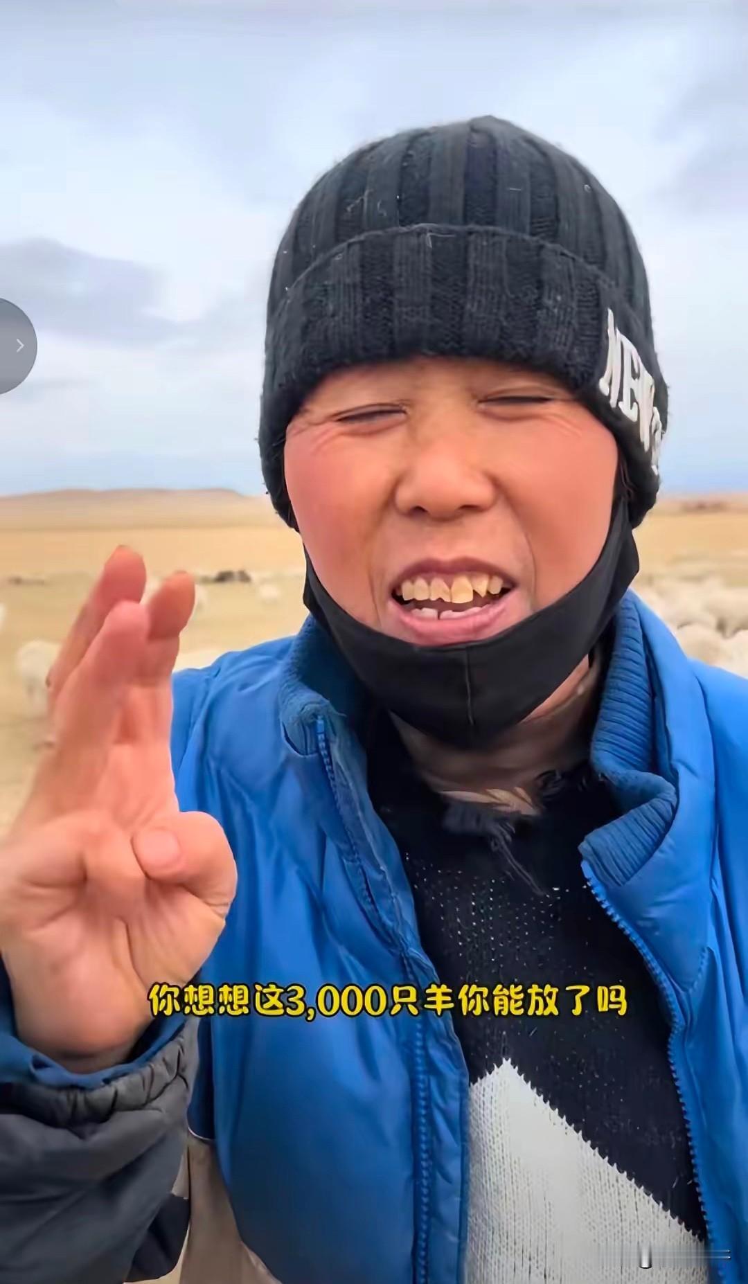 在内蒙古放牧1000多只羊的一位大姐告诉网友，千万不要去帮内蒙古那个老板放羊，