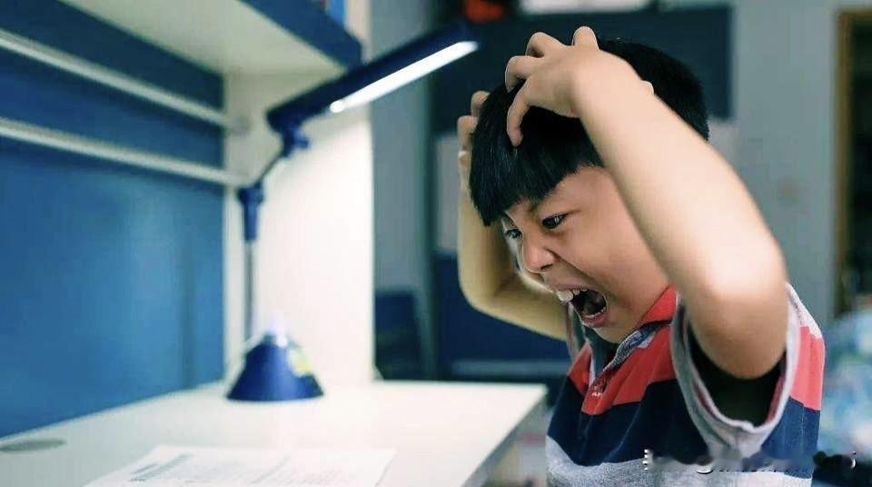 现在不想上学的孩子确实越来越多，还越来越小（连一二年级都有），经济好的地方快到8