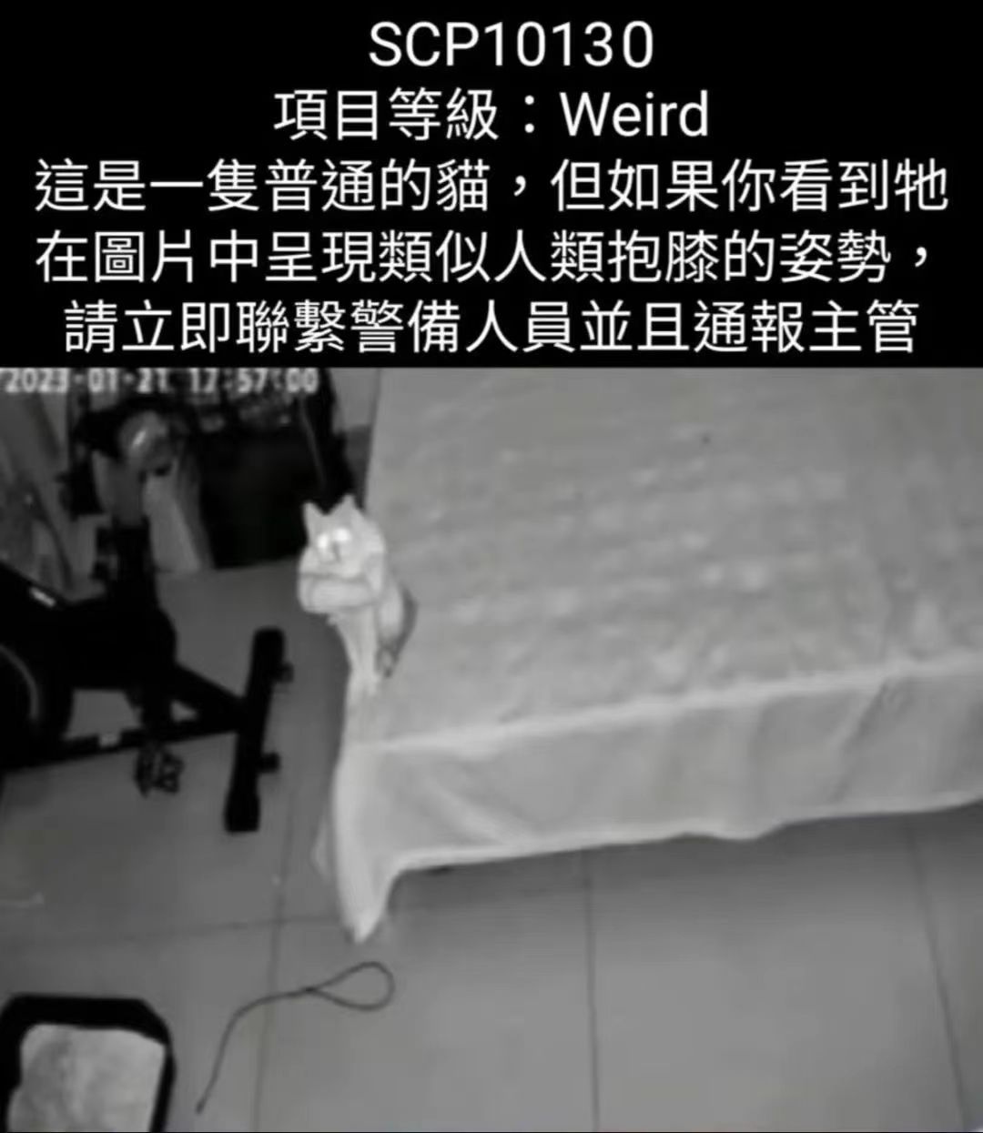 怕​​​