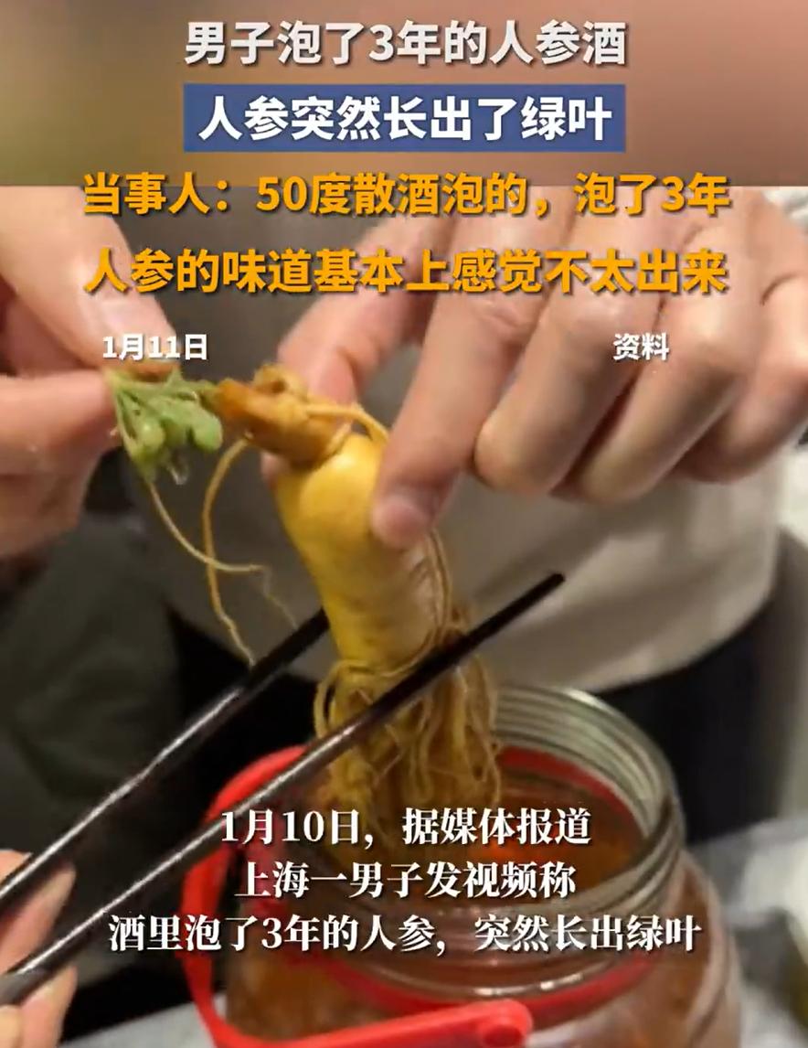 科学都解释不清了！上海，一男子用鹿鞭人参泡酒，最近家里来朋友准备招待一下，结果却
