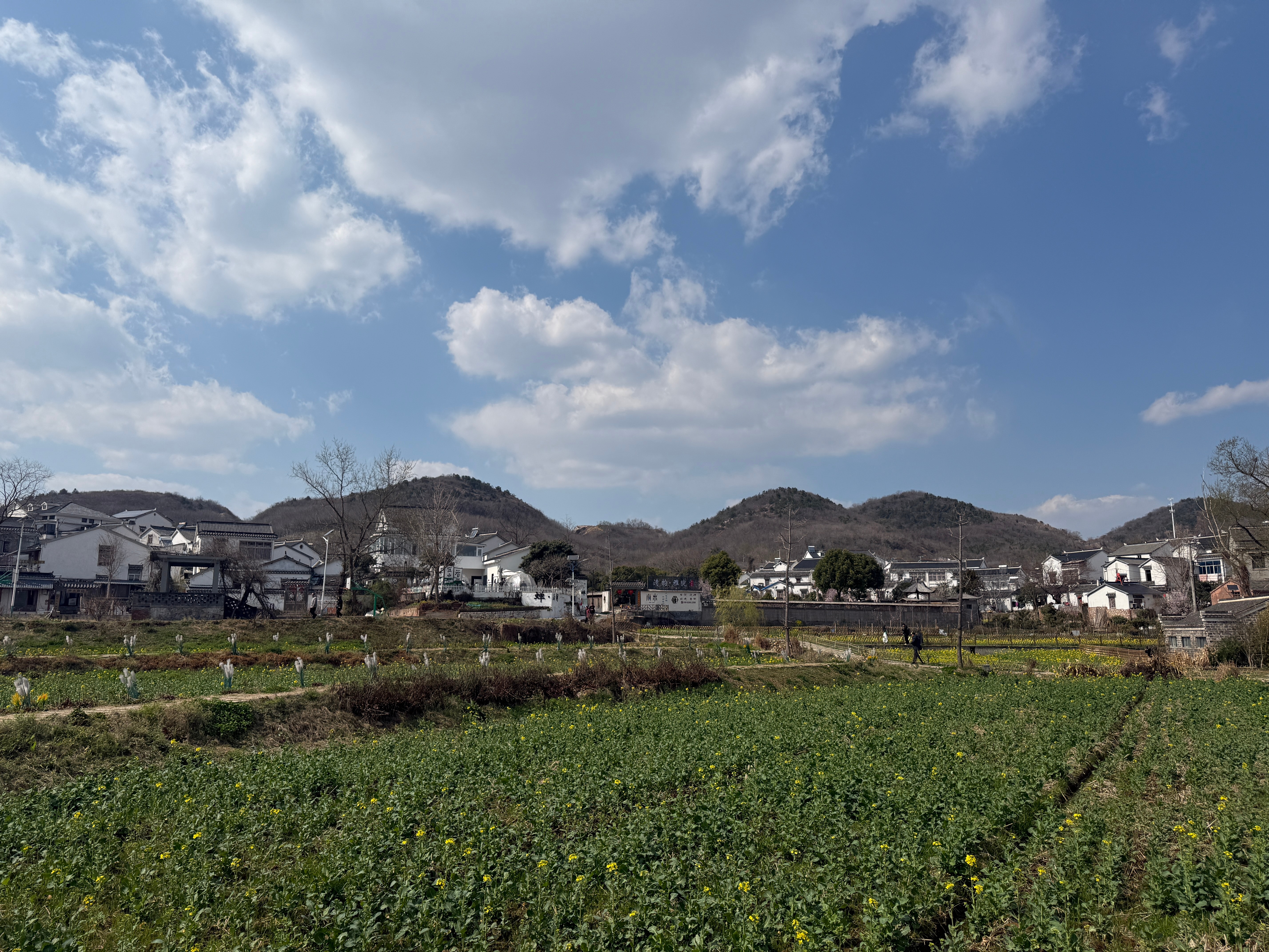 今天不在峡谷在佘村​​​