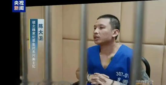 缅北魏家犯罪集团案一审宣判。魏怀仁、陈大卫、廖景芳3人死刑，魏青涛等3人无期徒刑，另有55人被判二十