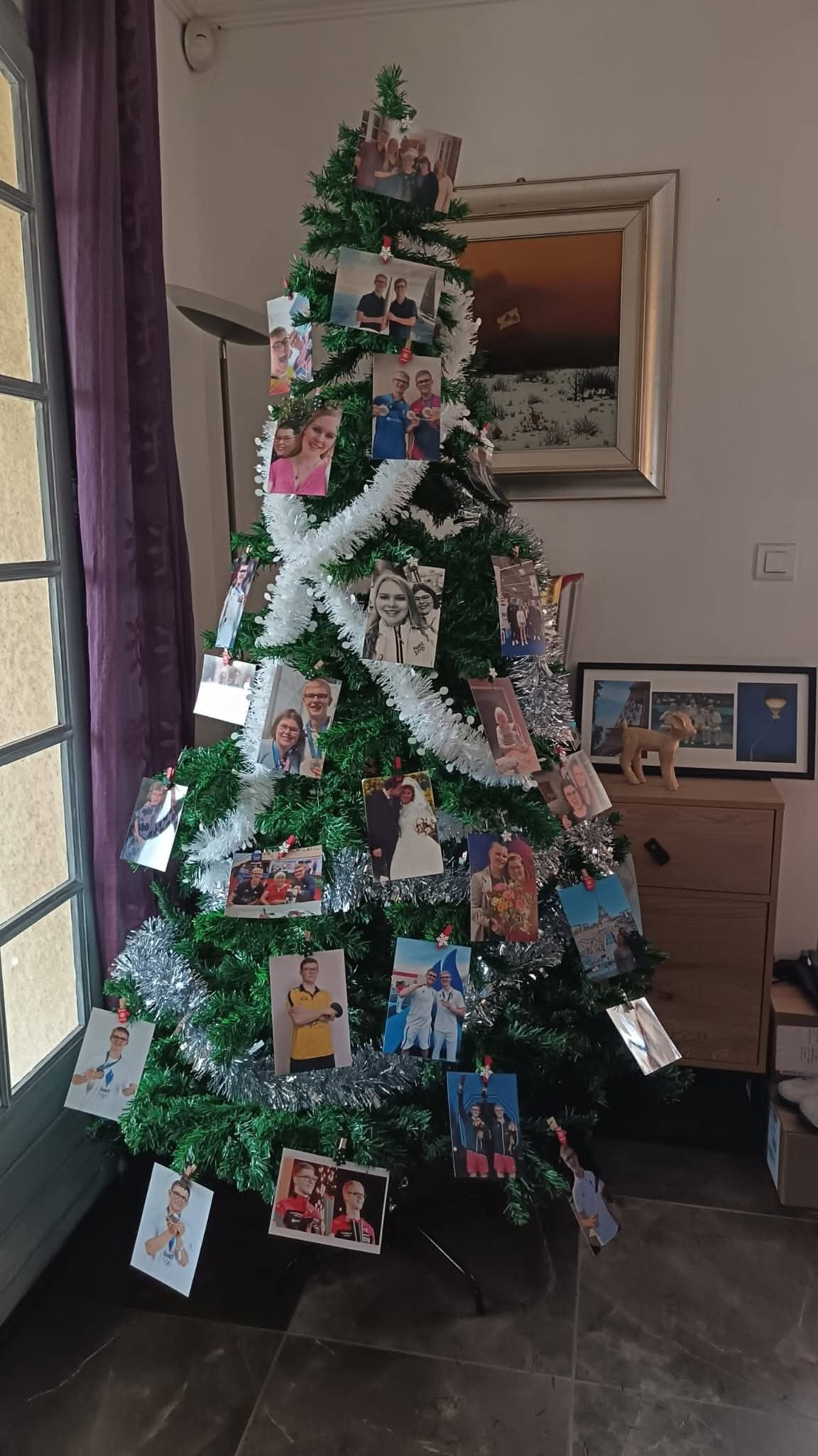 今年圣诞树上又挂满了照片🎄