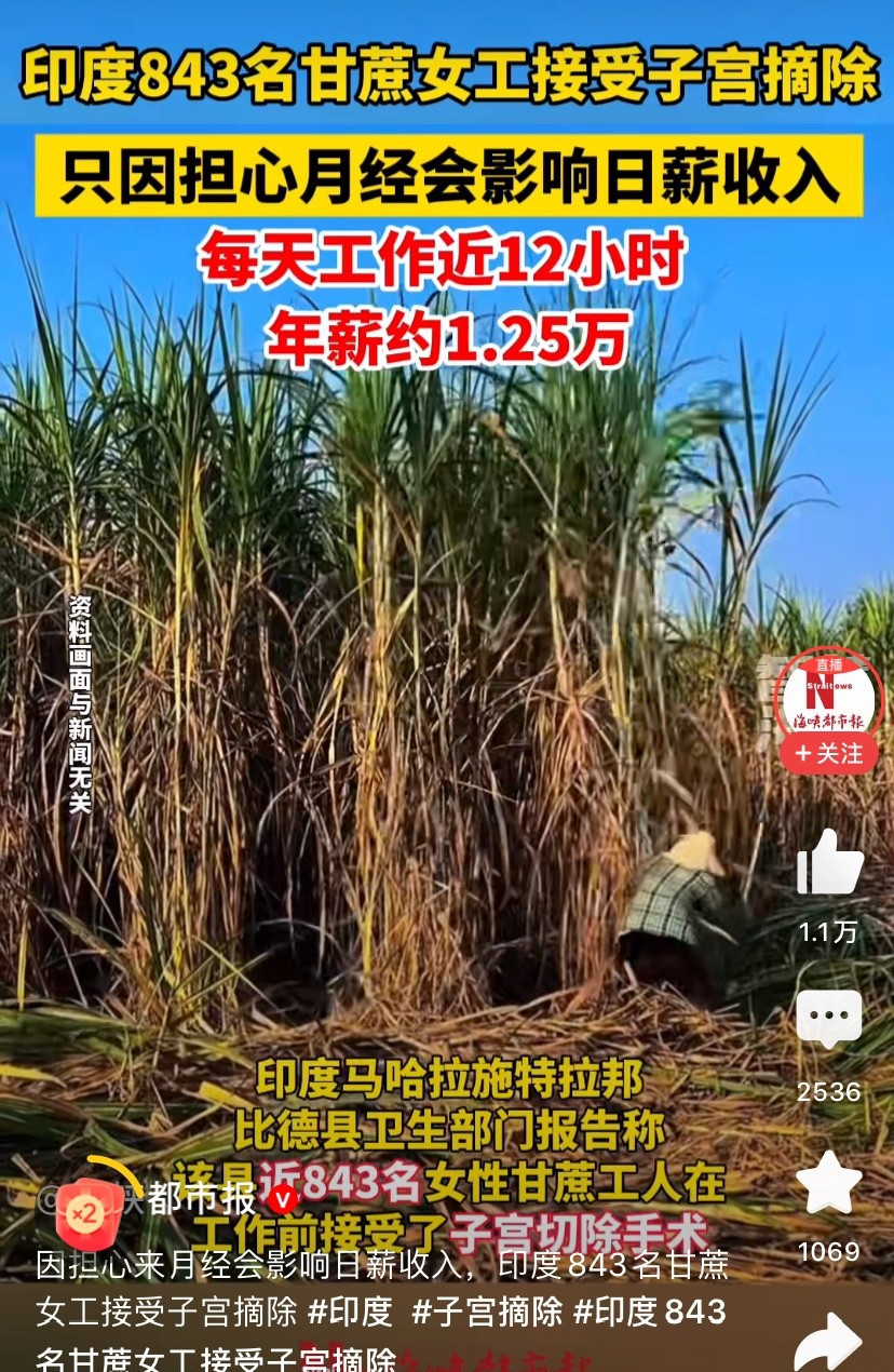 姐妹血泪换日薪，这事儿太扎心想过吗？有这么一群女人，为了