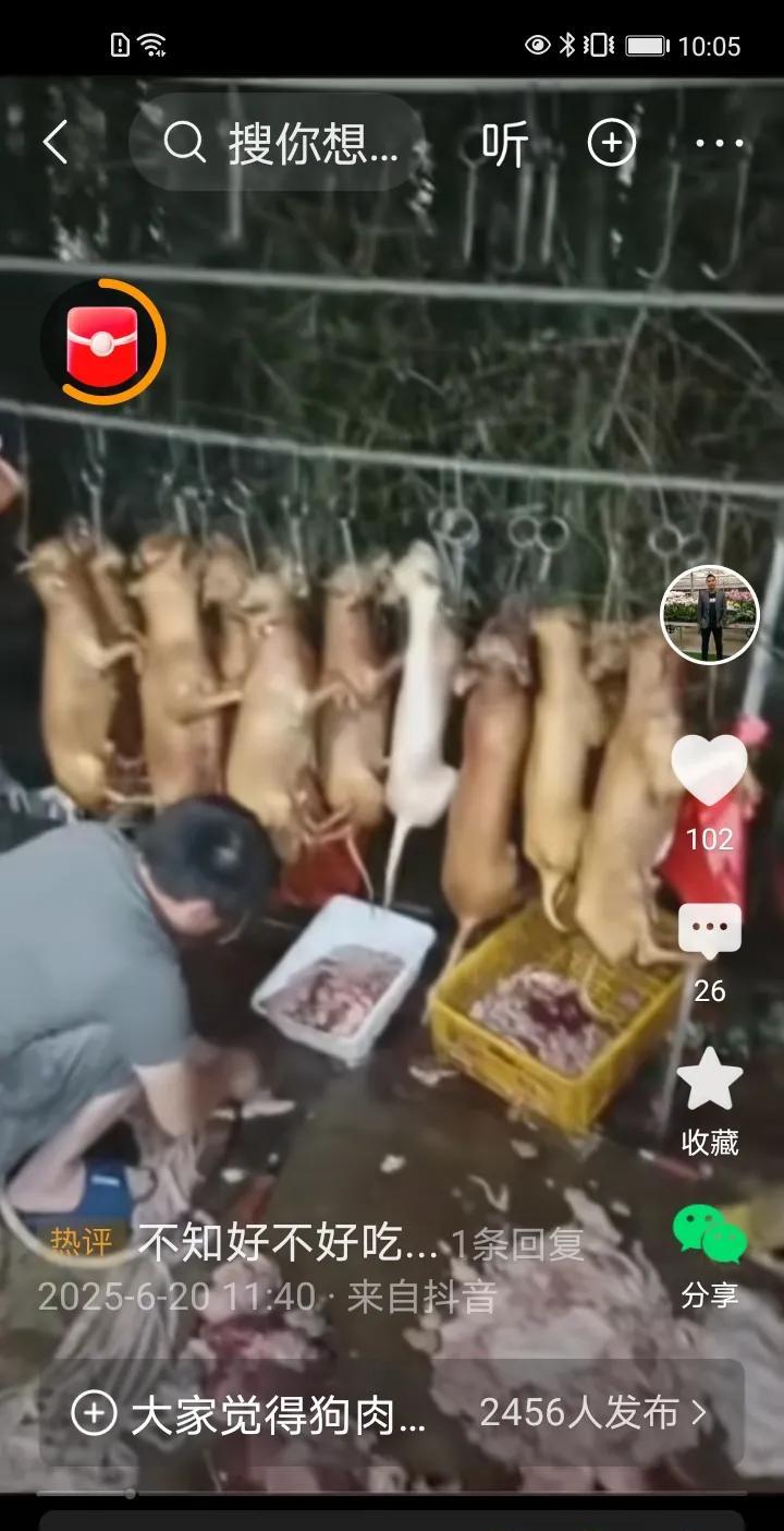 阴雨连绵，小区和公园遛狗是没戏了。地下车库，就成了狗的乐园。可能今天是周末的原因