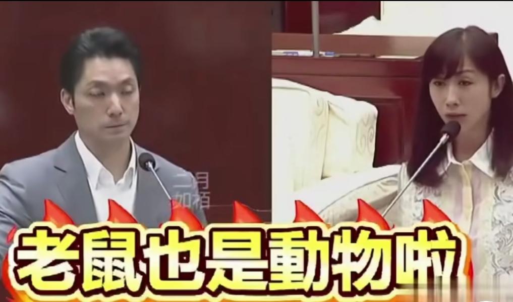 “人才啊”！台湾政坛的这场闹剧，真把人给看傻眼了！近日，台北市议会的质询现