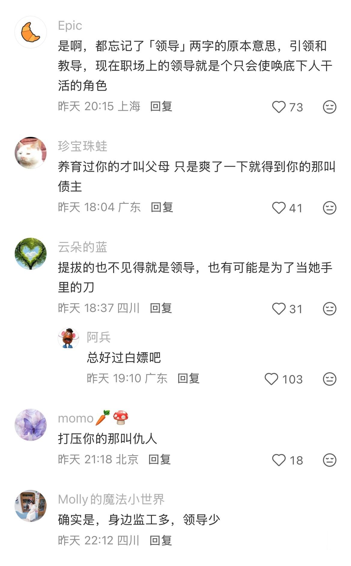 提拔过你的才叫领导​​​