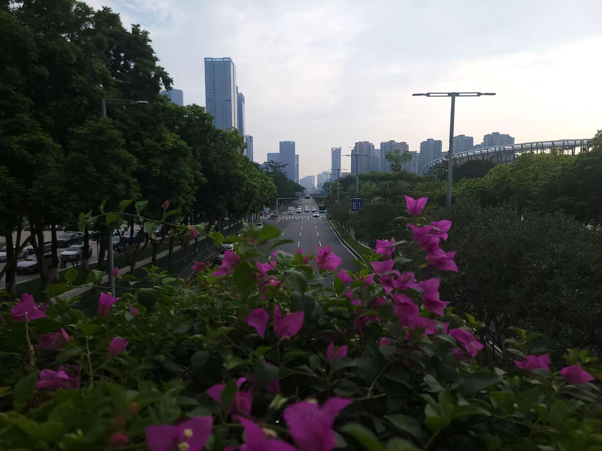 现在用三星的应该很少了吧😂S21Ultra还在用的应该也就独我一个了吧。想当初也是旗舰机。三星屏幕