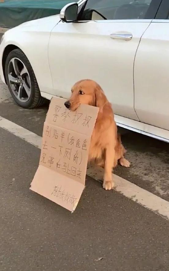 养狗千日用狗一时​​​