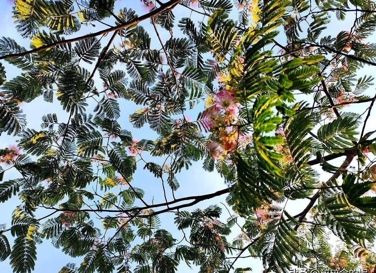 一对优秀的学霸父母，孩子一定是学霸吗？同事张姐和她先生都是清华毕业，可闺女从