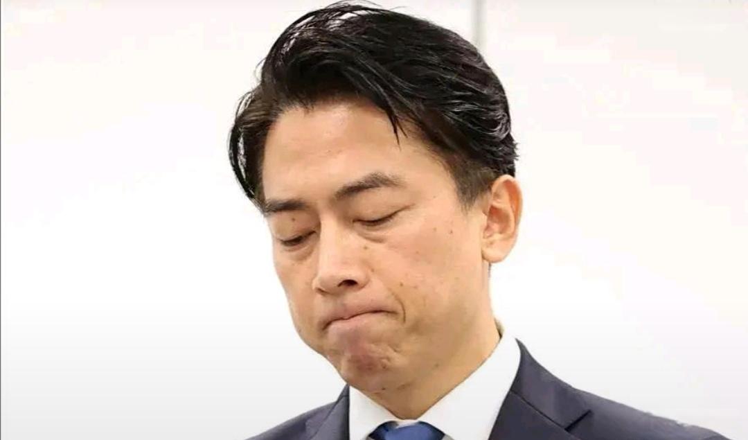 小泉进次郎惨败，无缘首相。大家都以为他稳操胜券，既是前首相之子又年轻、活力、有闯