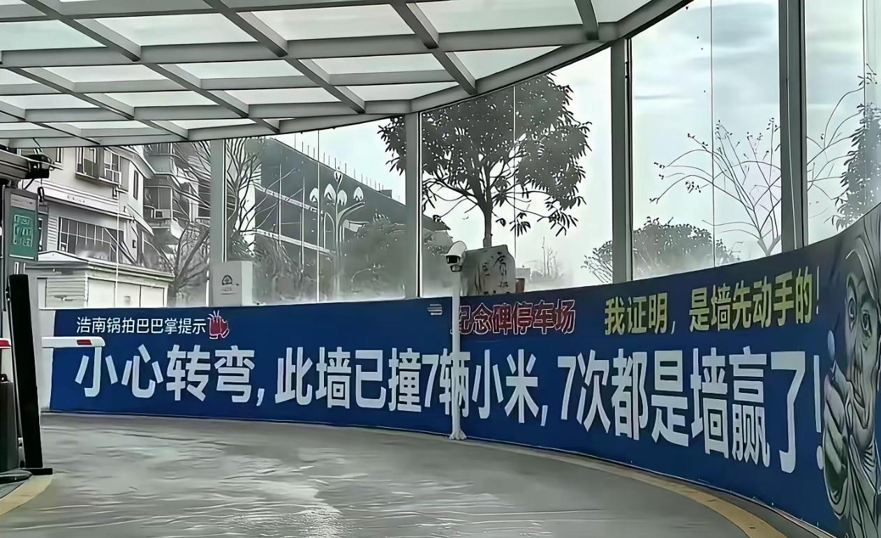 我认为小米挺好的！但开小米汽车的人，太轻率毛躁。早上，左转等待区，我是第一个