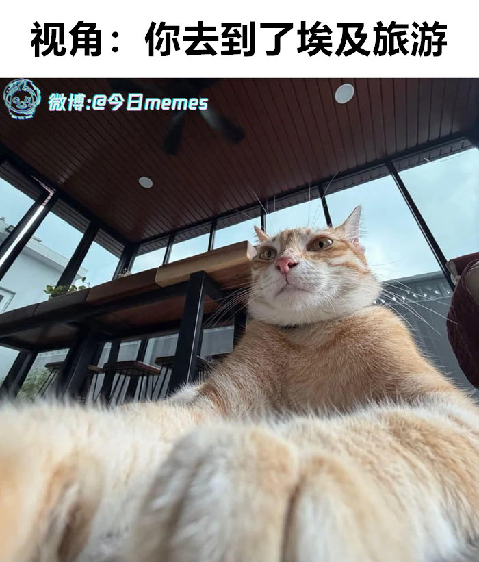 壮观（9gag）今日meme今日memes