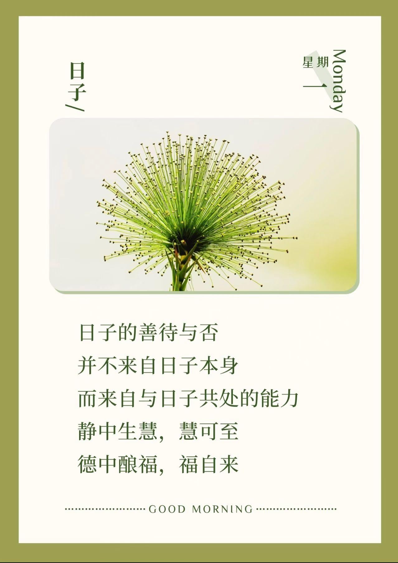 早安🌞日子的善待与否并不来自日子本身而来自与日子共处的能力静中生慧