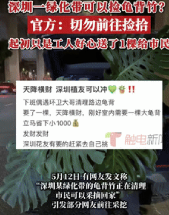 好人难做！广东，一男子下班后，发现有环卫工在路边清理龟背竹，就厚着脸皮去要，环卫