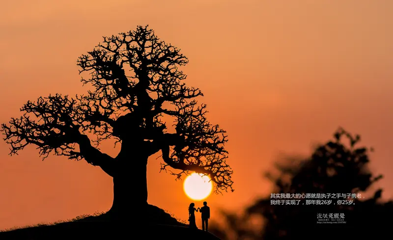 夫妻是缘分，牵手是福分。寒时添件衣，饿时煮碗面。累了靠靠肩，...