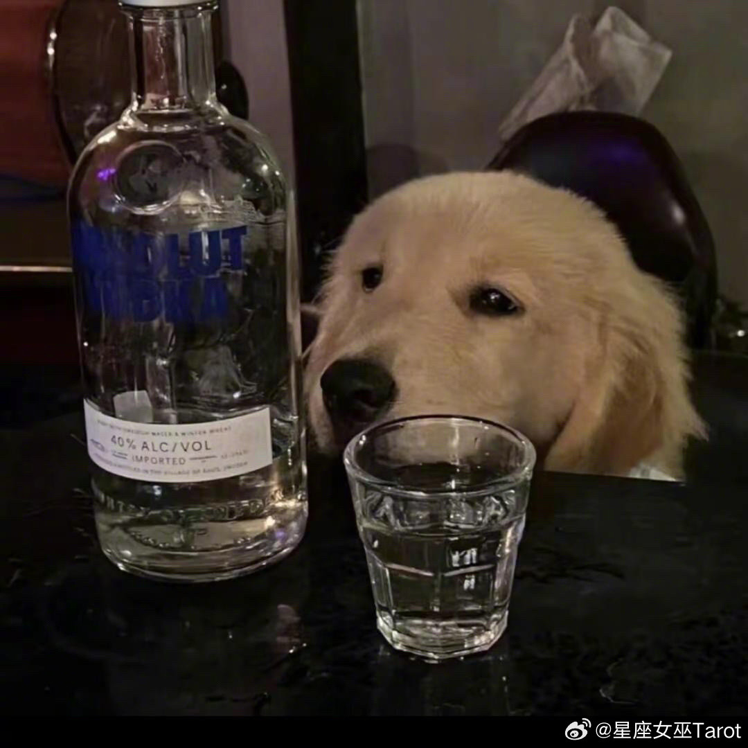 巨蟹、双鱼、天蝎、金牛，内心极度念旧长情过往的人和事，自己偶尔感慨释怀就好。但绝