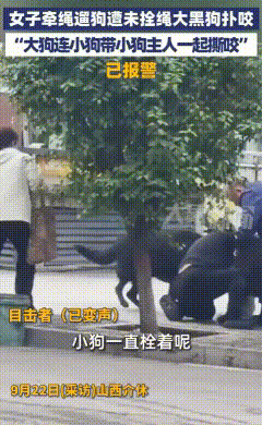 两只足有一米高的黑色大狗，朝着正在遛狗的大娘猛冲过去。其中一只黑狗，一口就咬住了