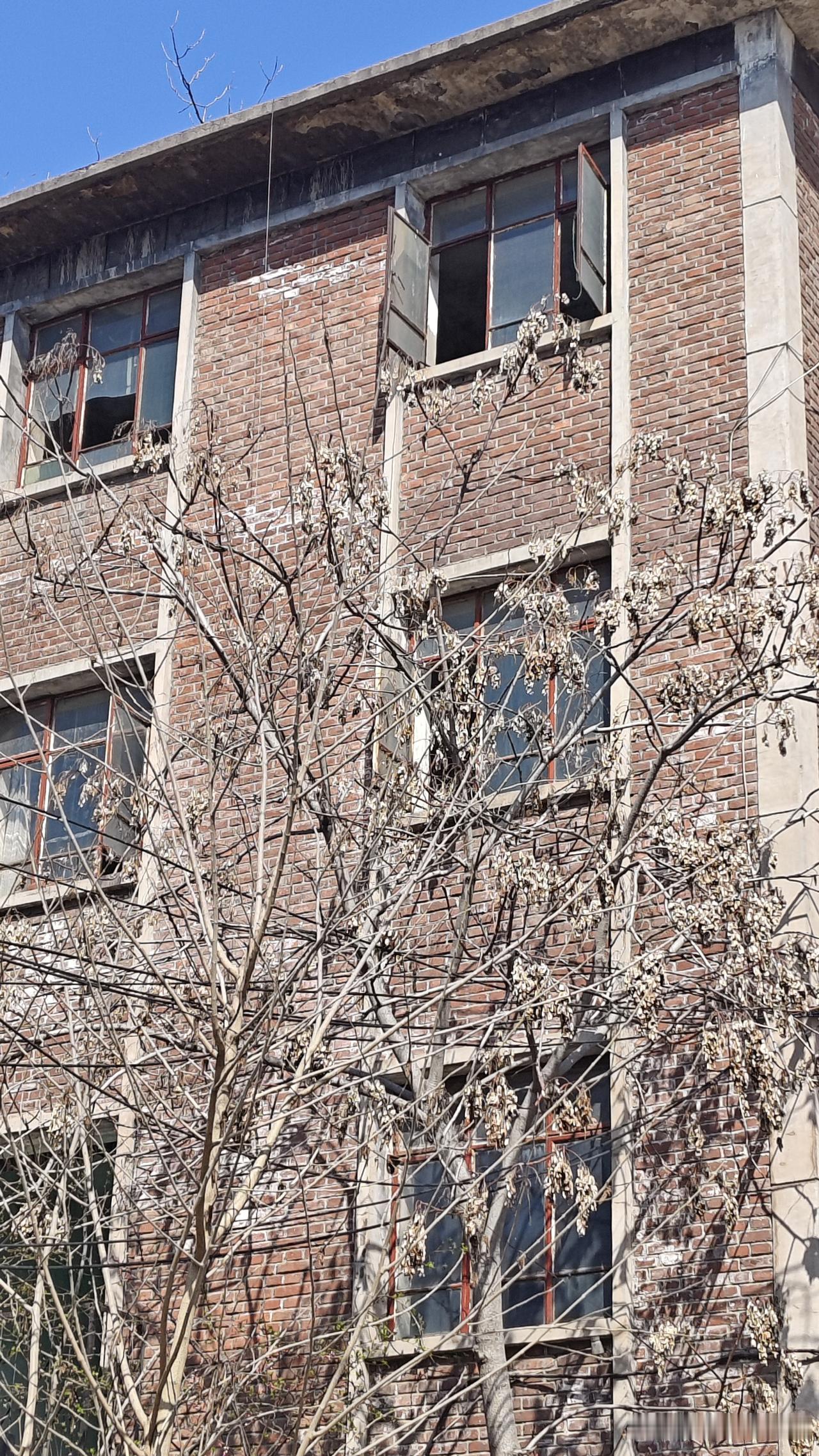 石家庄的一些老破小，无非是占了好位置，好配套，好学区。如果说居住环境来说肯定是