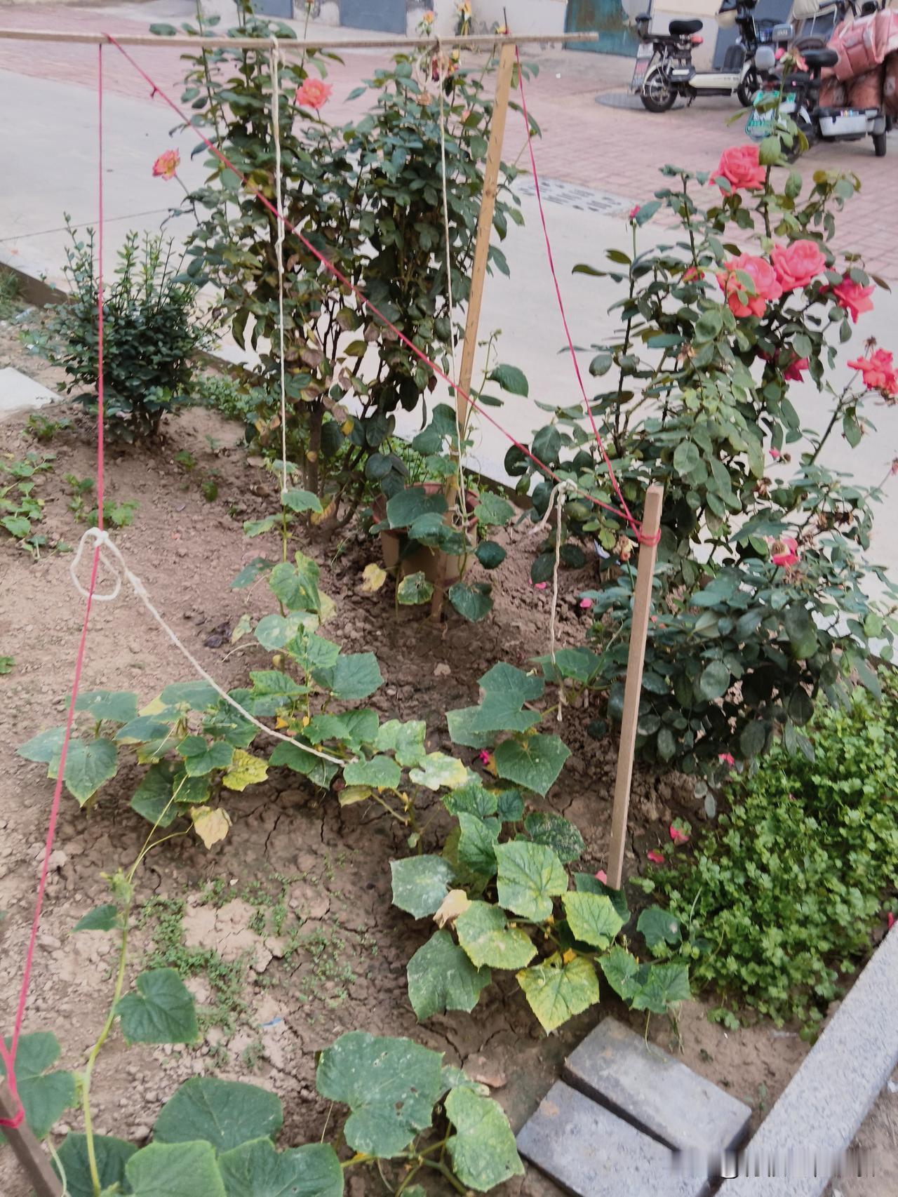 下班遇上小区里一大哥，聊了两句。大哥问我，还有几年退休啊？！我伸出手，做了个六的