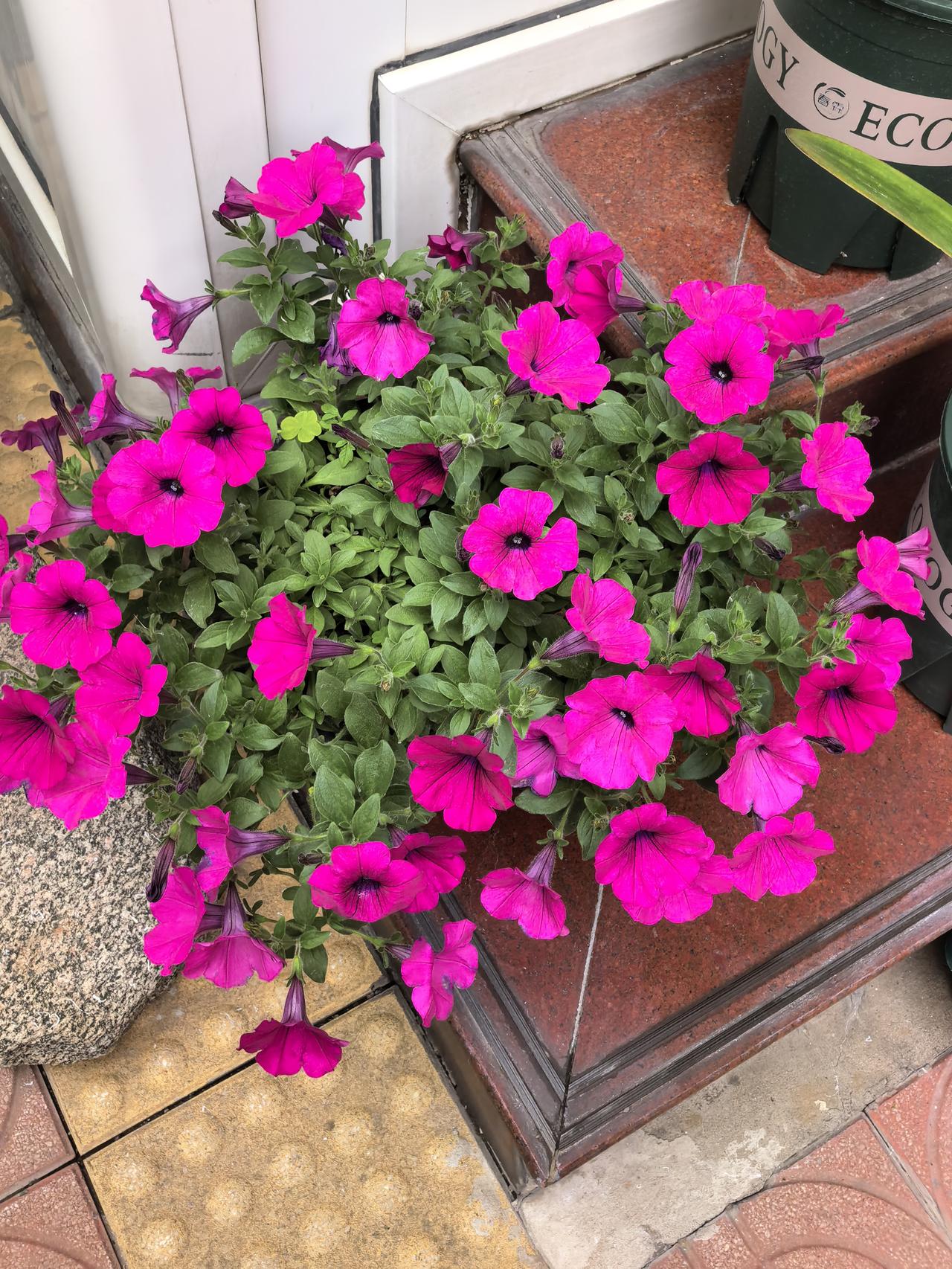 虽然钱不是万能的，但没钱是万万不能的。这是几个退休小老太凑在一起的最多话题。