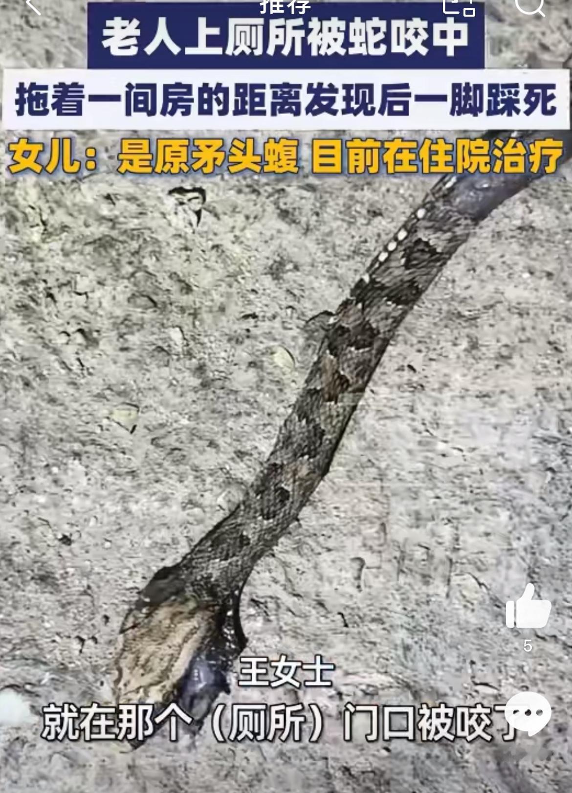 湖南邵阳大爷威武，半夜上厕所被毒蛇咬乱脚踩死，成功为自己赢得救命机会。大爷生活在