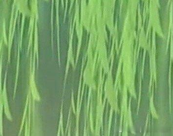 每日一善|阳光信用努力的意义，不在于让你一定取得多大的成就，只是让你在平凡