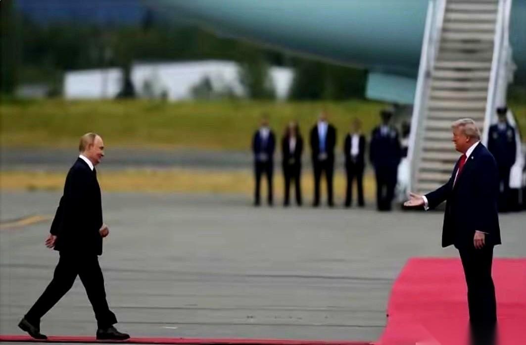 一个走红毯，一个踩草地。一个笑得春风得意，一个愁得像天要塌了。你说逗不逗，见