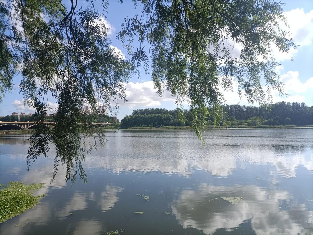 西汉时大汉奸--中行说汉文帝时匈奴强盛，汉朝被迫送公主和亲，既然是公主和亲