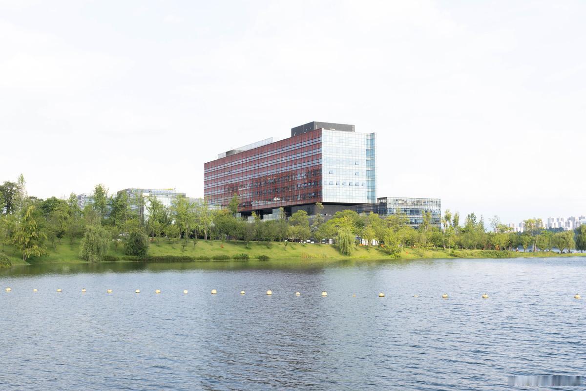 电子科技大学前面没有带地名，很多人不识庐山真面目。电子科技大学在四川省会成都市，