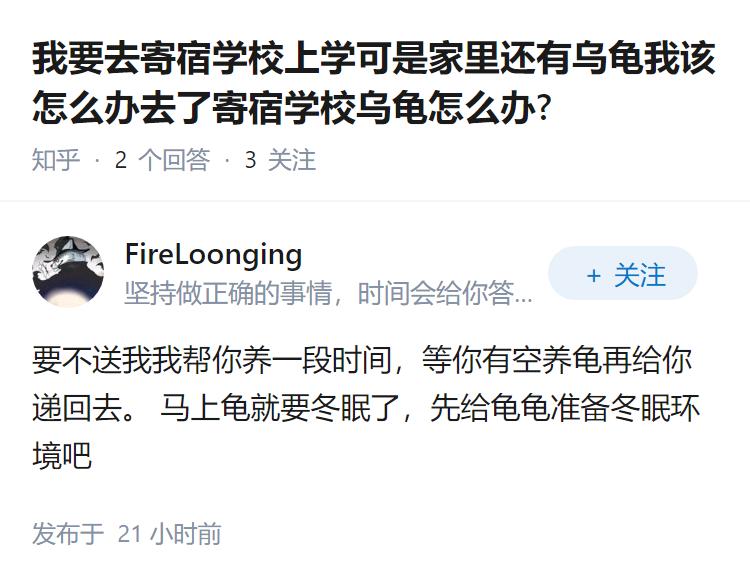 我要去寄宿学校上学可是家里还有乌龟我该怎么办去了寄宿学校乌龟怎么办?