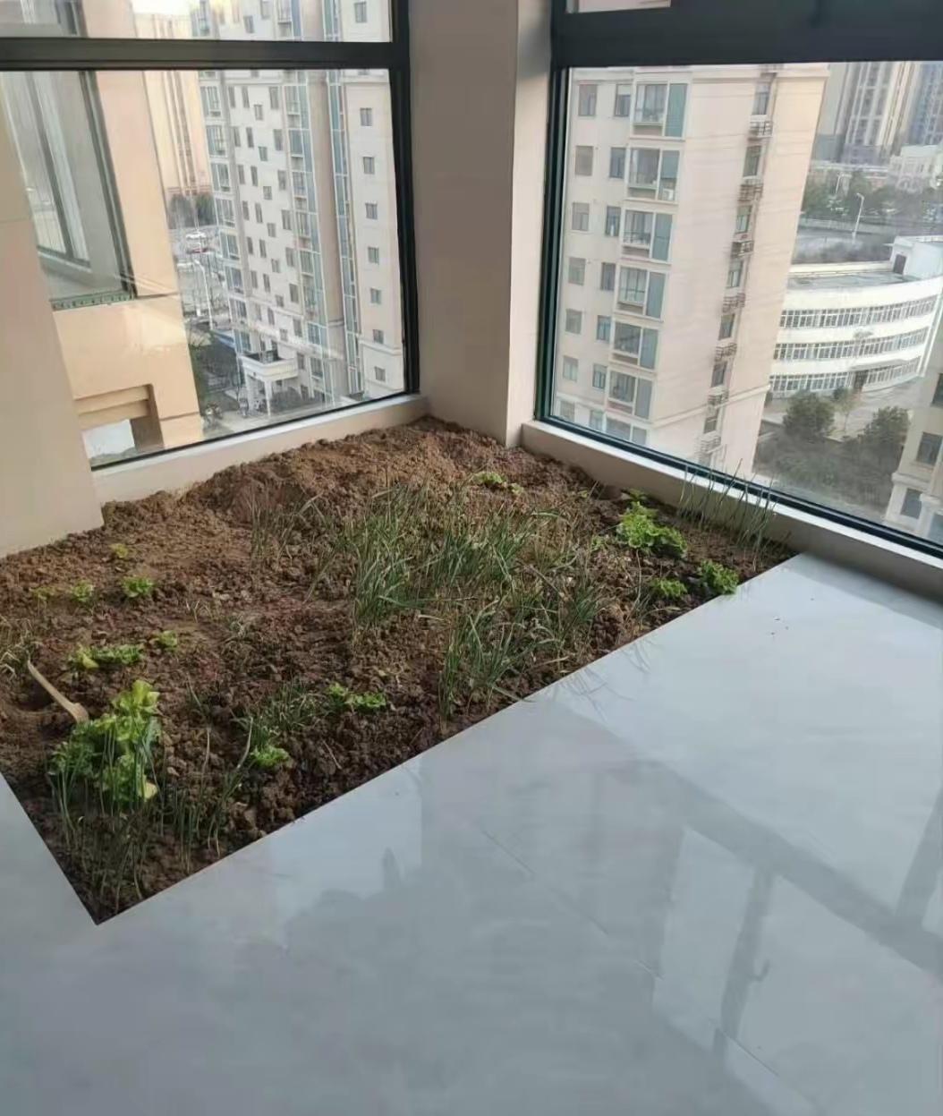 26楼终于装修好了！留一块小菜园平时能吃到自己种的菜，想想就开心。