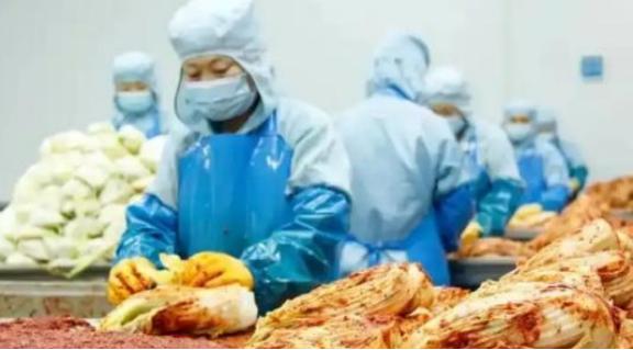 “中国要被我们拖垮了！”2024年，韩国上千人拒绝食用从中国进口的白菜，本想给中