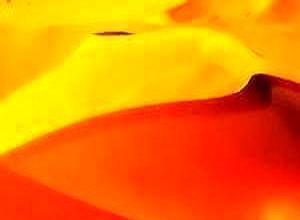 那份要了他2.35亿的对赌协议，才是《美人鱼2》沉在海底8年的真正锚点。别再扯