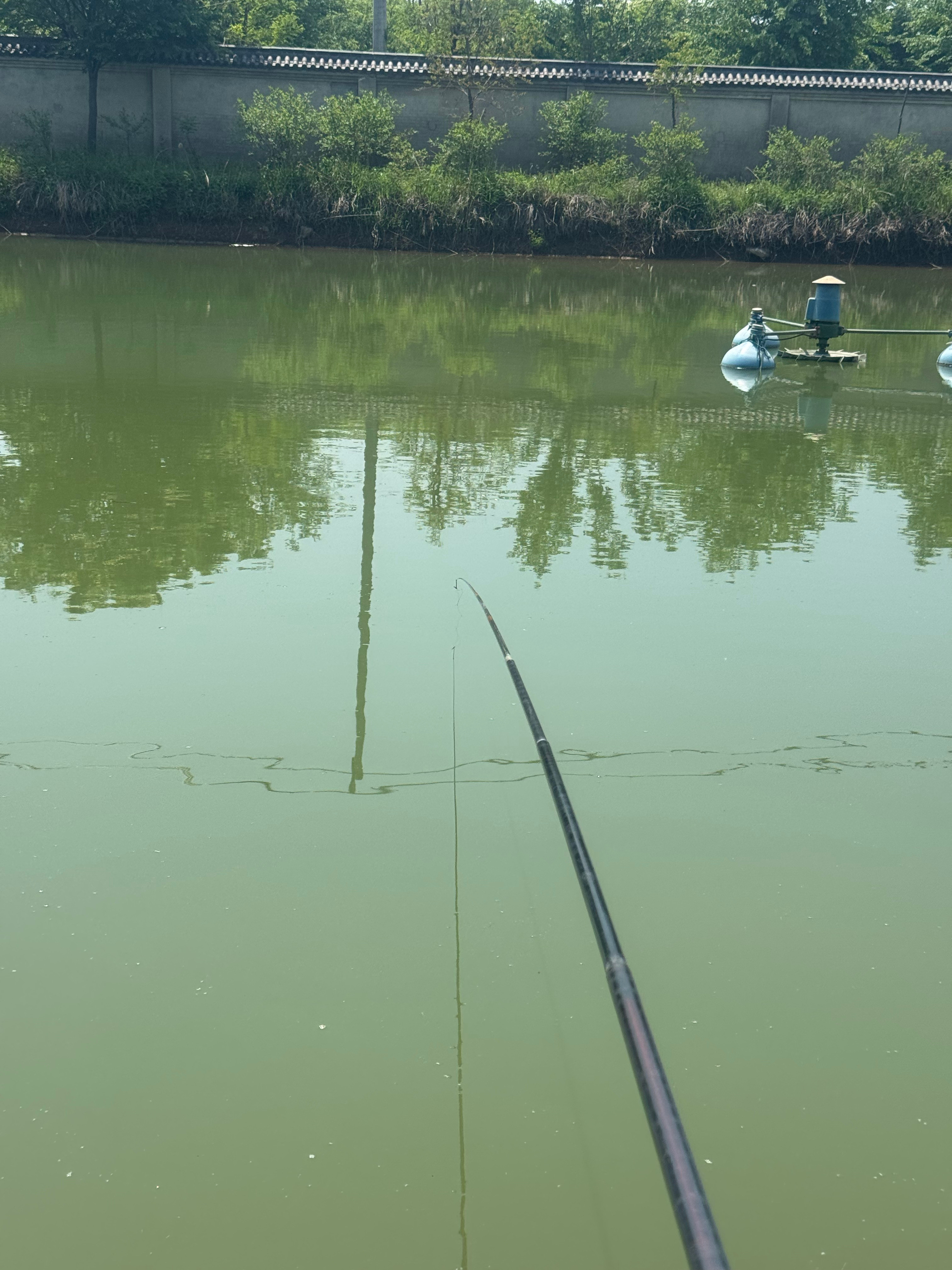 钓了一上午鱼好放松好放松好放松！！！鱼线太软了缠起来搞了半天但是一点儿也不急钓鱼