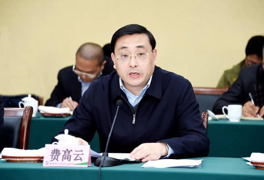 打虎! 安徽省委常委、合肥市委书记费高云接受审查调查