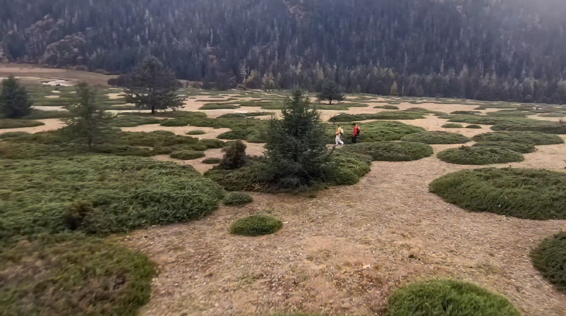 国家地理镜头下每一帧都是大片镜头下的世界，满是直击人心的美好。远山含黛的朦胧、花