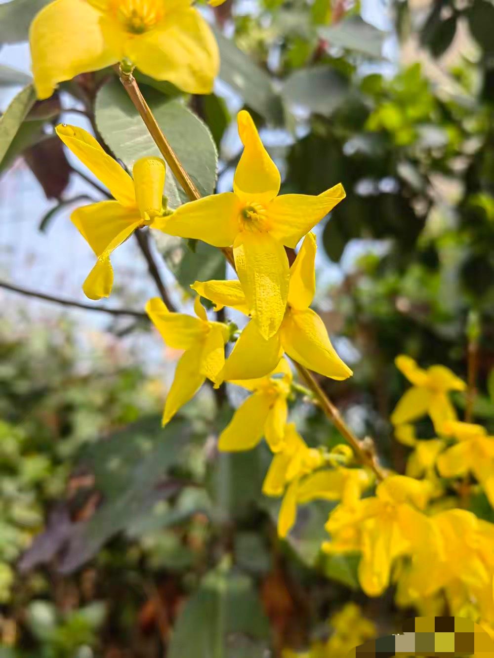 我同学老公出轨了，两人正要离婚，她婆婆瘫痪了。她老公马上就说这婚咱不离了。​她