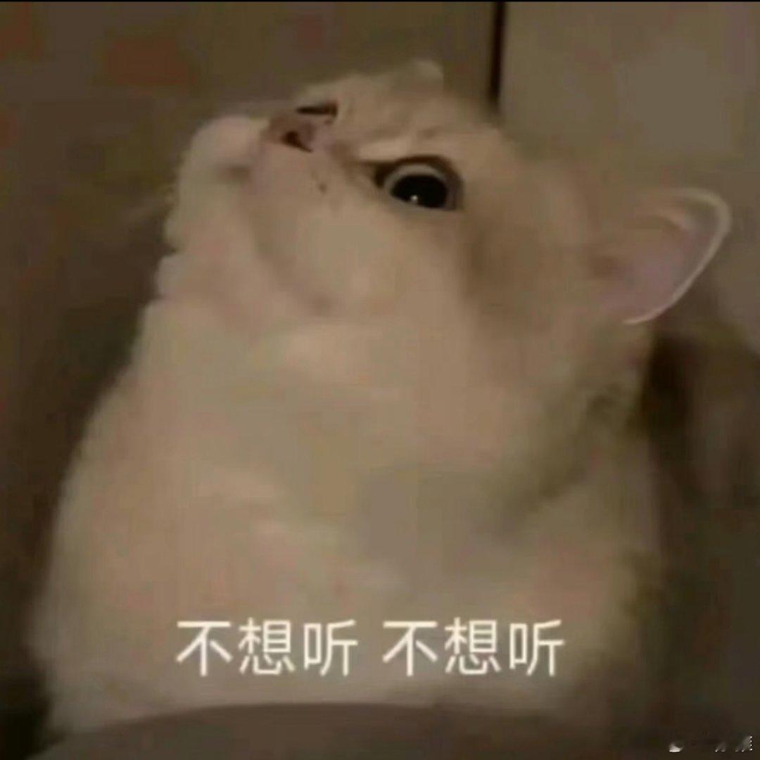 小猫表情包。​​​