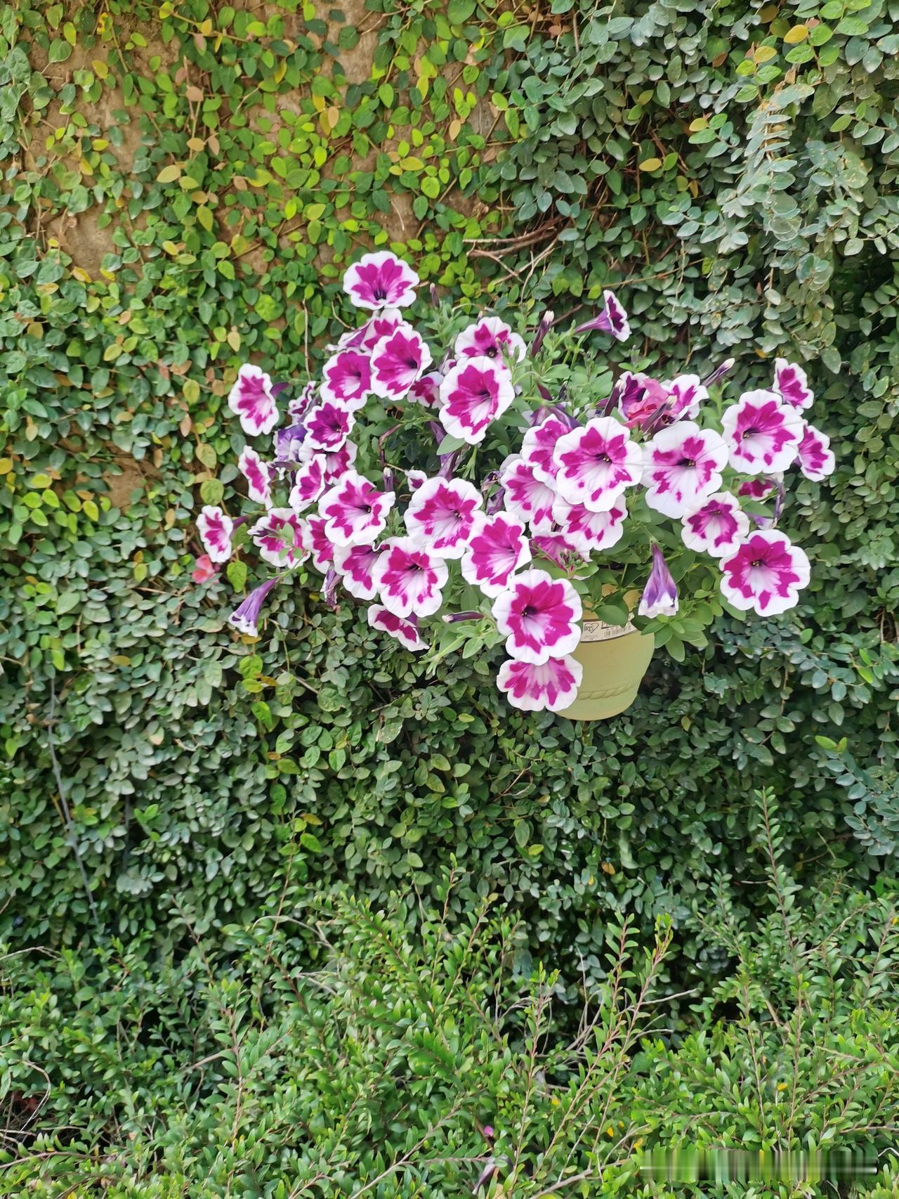 以前亲戚很穷，娶了老婆后顺风顺水，大家都说亲戚命好，那么穷还能娶到老婆，而且娶了