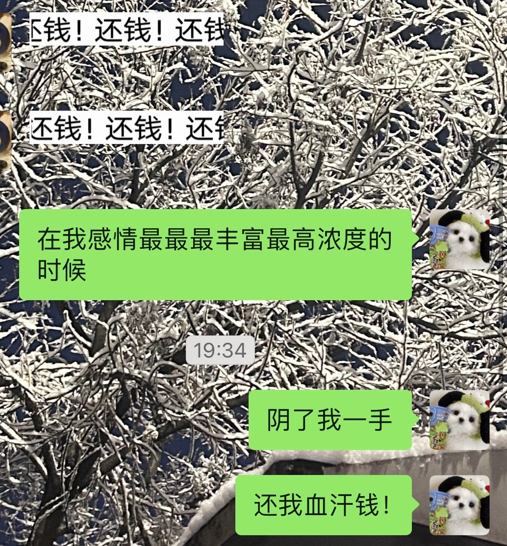 又在讨债…不还我钱我就一直诅咒🤬