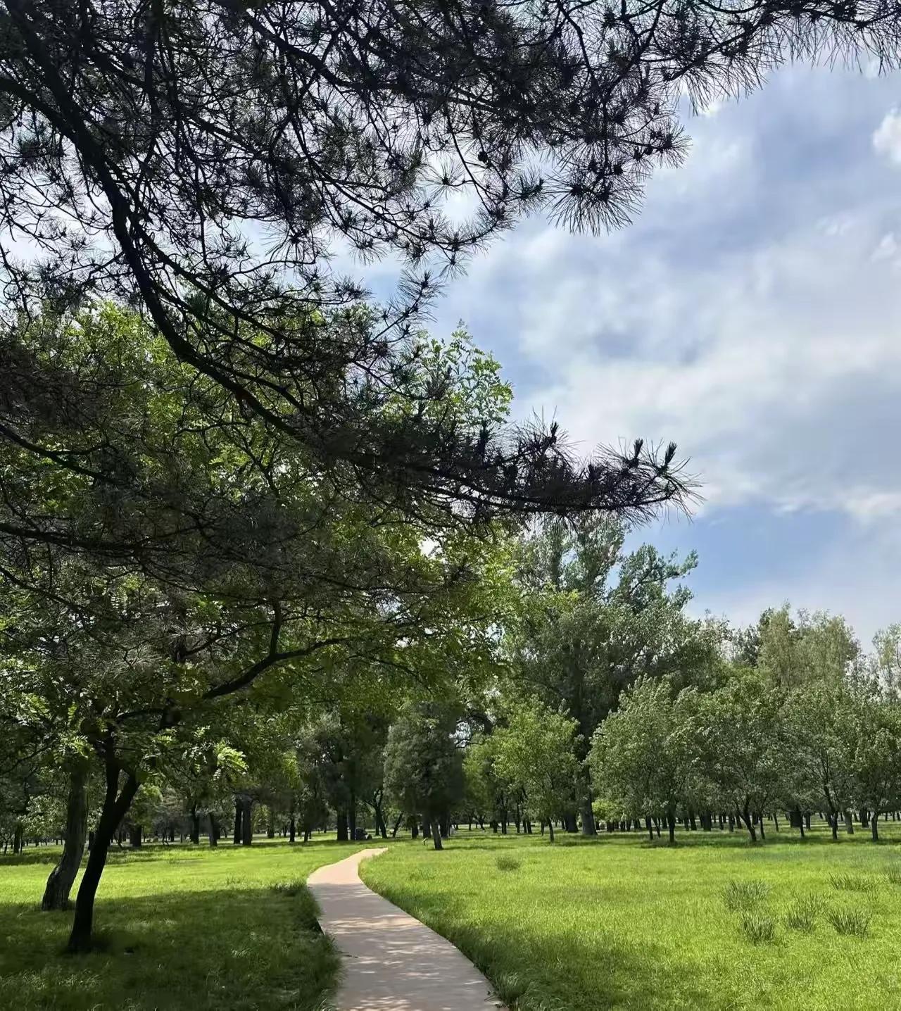 一位减肥专家表示如果晚上饿了，不要吃一个苹果，不要喝一杯牛奶，不要吃一只鸡蛋