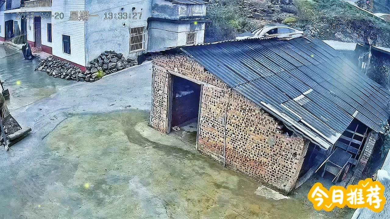 实测油耗仅1.5L！新手开车必看：如何判断油耗是否合理