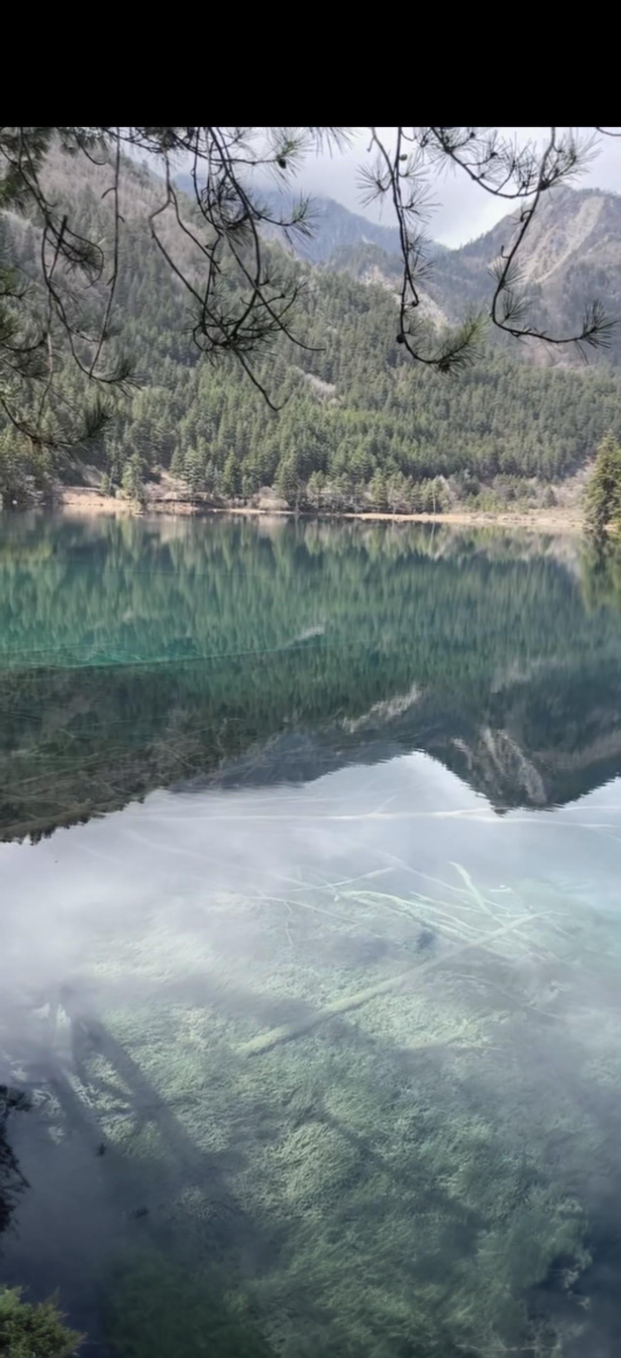 与痛风斗争的历程181今早醒来，浑身关节都格外顺畅，没有明显的痛感与